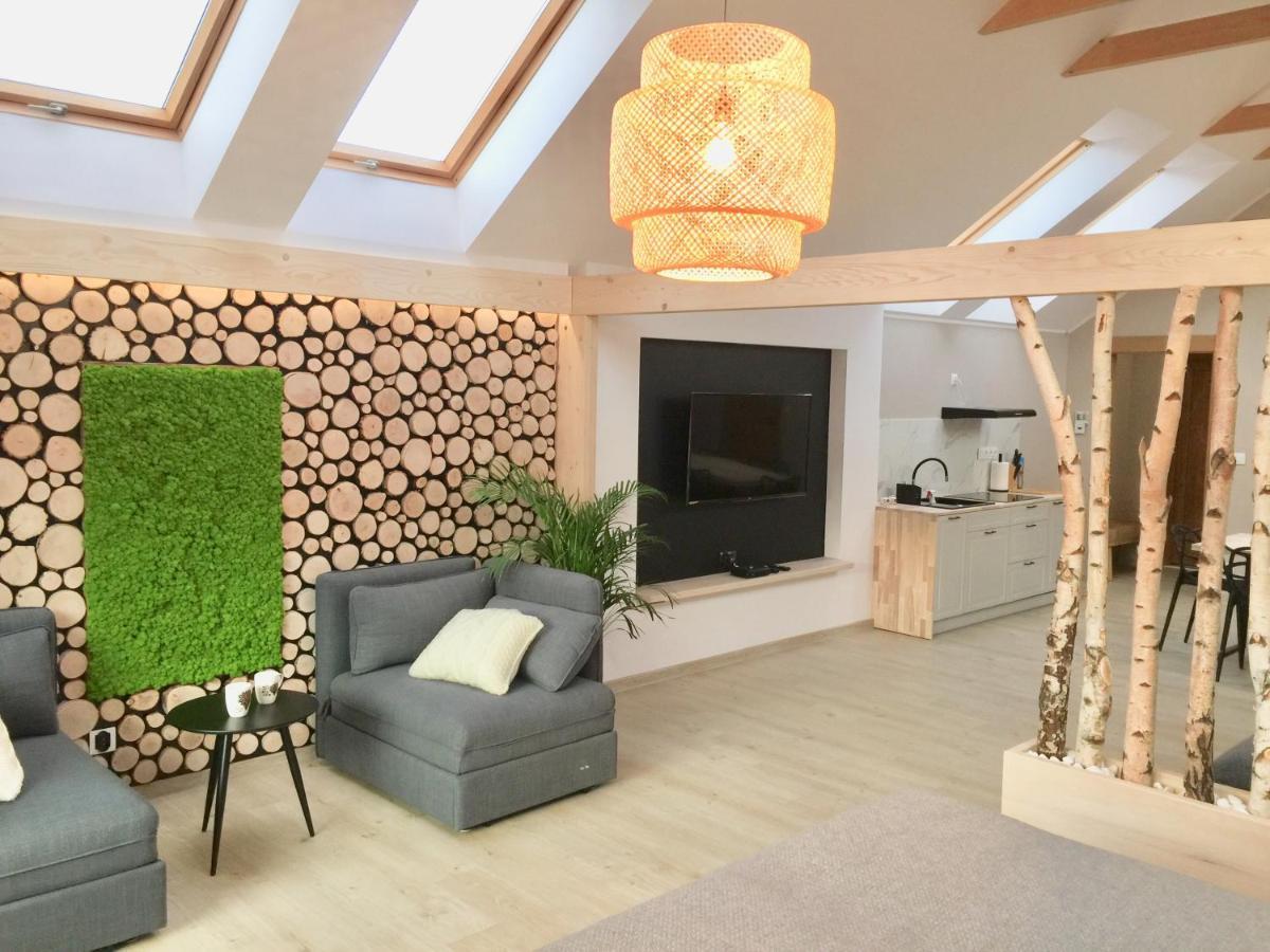 Willa Wojcik Apartamenty I Pokoje Sromowce Niżne 外观 照片